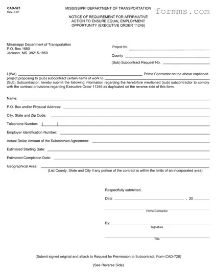 Cad 521 Template in PDF