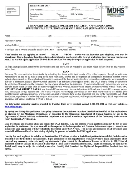 Mississippi Snap Application Template in PDF